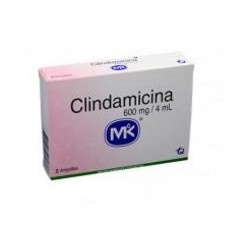 Clindamicina 600 mg / 4 mL (ENVIOS REGIONALES Y NACIONAL) Caja* 2 Ampollas – Tecnoquímicas