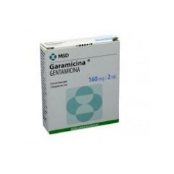 Garamicina 160 mg Ampollas Solución Inyectable MSD (Envíos Regionales y Nacionales) caja*5 ampollas